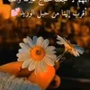 user9213825715072