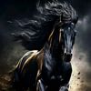 user9481961077450