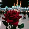 saj_s17