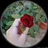 user7813266182091