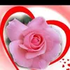 user88744258447347
