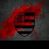 gustapp87