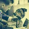 user68063781479611