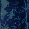 thephantom16