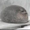eloyy__6