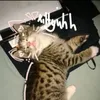 oioioibaka675