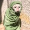 civ_4li