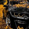 .amir.tobacke