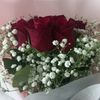 user1403957204019