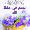 heba27294