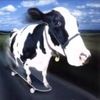 thecow132_