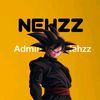 nehzz_p2013
