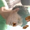 axelio.cc1