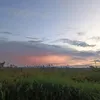 franco.cant.hook4