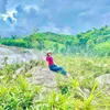 hoangall_282828