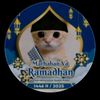 haykal_aja10