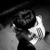 120824_champ
