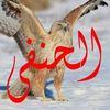user97471983530516
