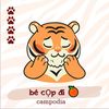 becopocam
