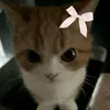meomeow212_