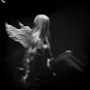angel_fangss