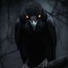 Crow777