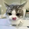 sammysamuel693