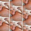 tlhompho_mokoto