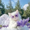 realme.me04
