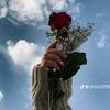 user13250737049355