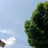 dinda.aulia.putri26