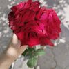 user6155190879837