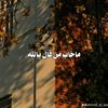 user2049094246308