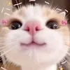 princessjhaybee