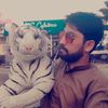 salmanbhatti8837