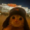 user916108602