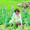 zahir.khan2244