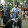 muhamad.fansyuri