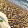 oliveiraaas07