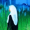 user986161842