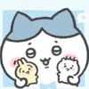 user4135603880061