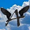 angel_martin_07