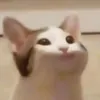 beopanda2
