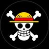 PP ONE PIECE