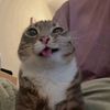 william.afton7940