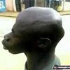 mamadou.kane242