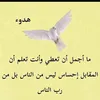 salahalfaaz