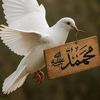 khalifa.haftar