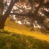 paolaa7249