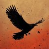 birfurtive